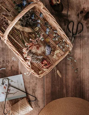 Storage Organization